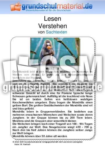 Mandrill - Sachtext.pdf